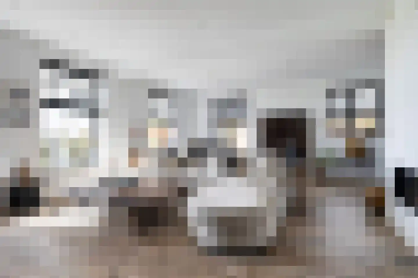 Buorren 5 Lekkum thumbnail 28