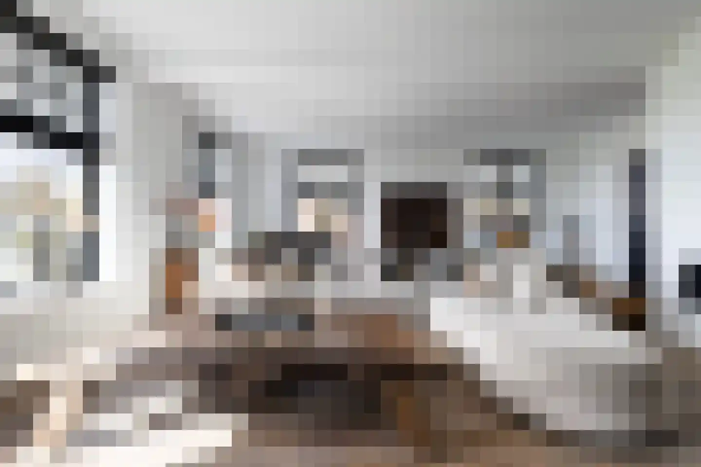 Buorren 5 Lekkum thumbnail 29