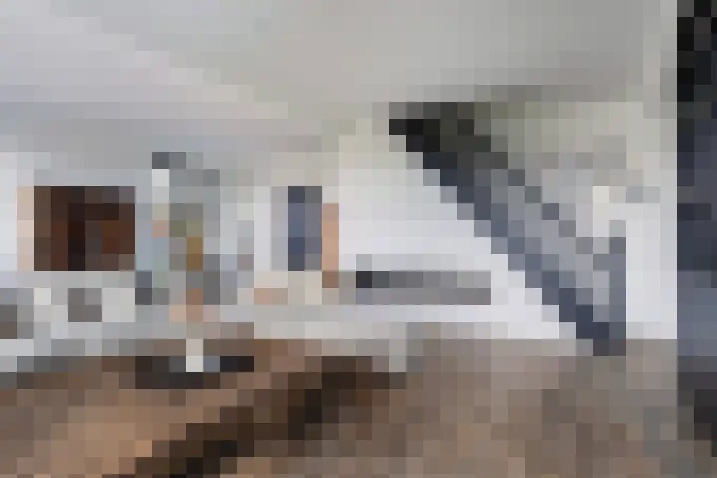 Buorren 5 Lekkum thumbnail 31
