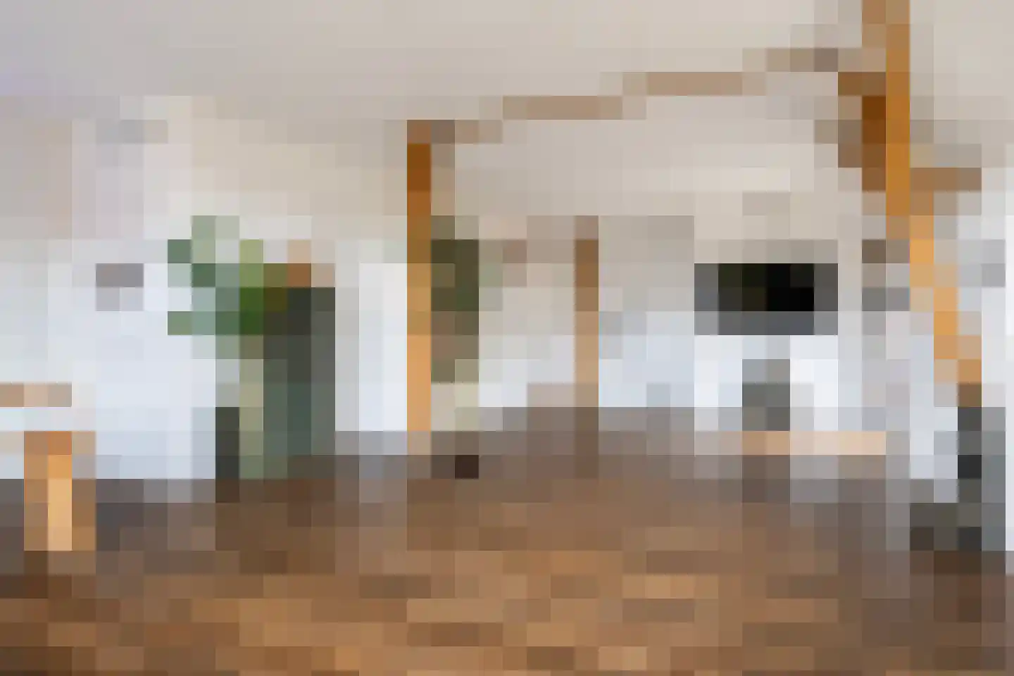 Buorren 5 Lekkum thumbnail 45