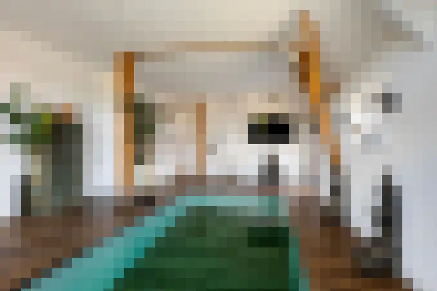 Buorren 5 Lekkum thumbnail 46