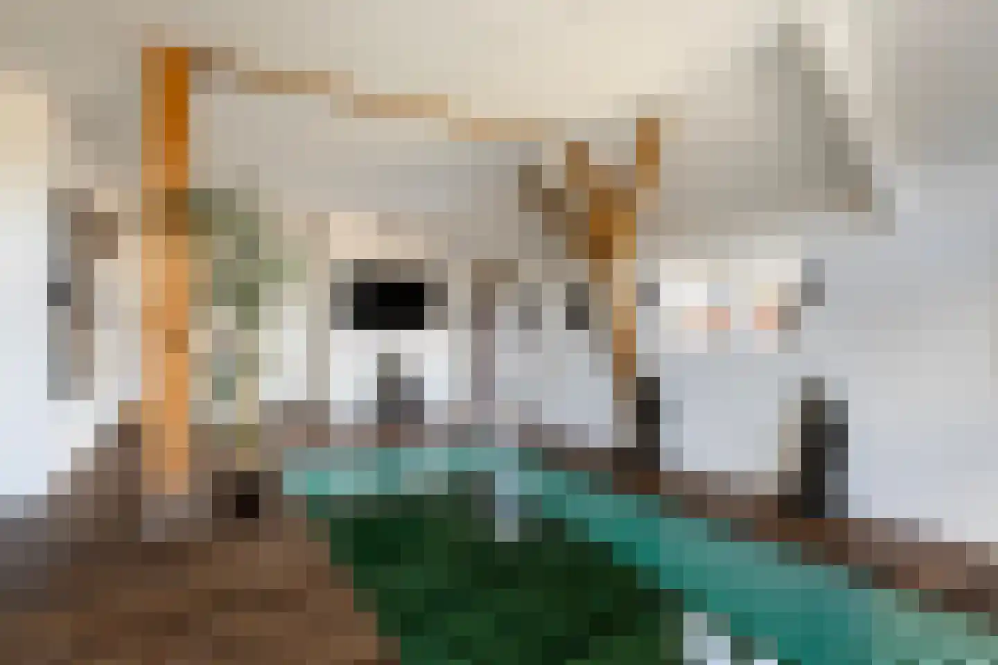 Buorren 5 Lekkum thumbnail 48