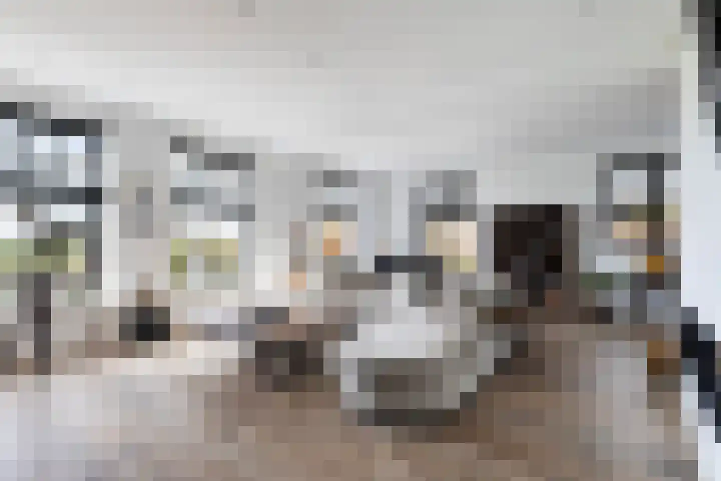 Buorren 5 Lekkum thumbnail 5