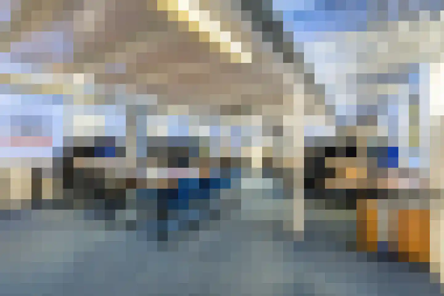Buorren 5 Lekkum thumbnail 59