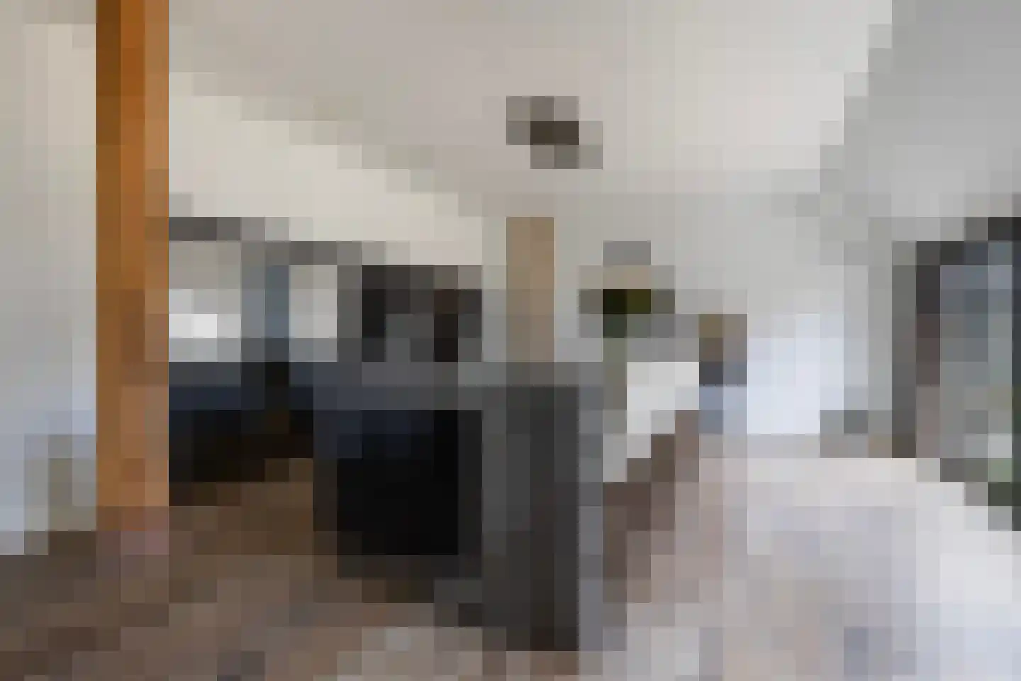 Buorren 5 Lekkum thumbnail 6
