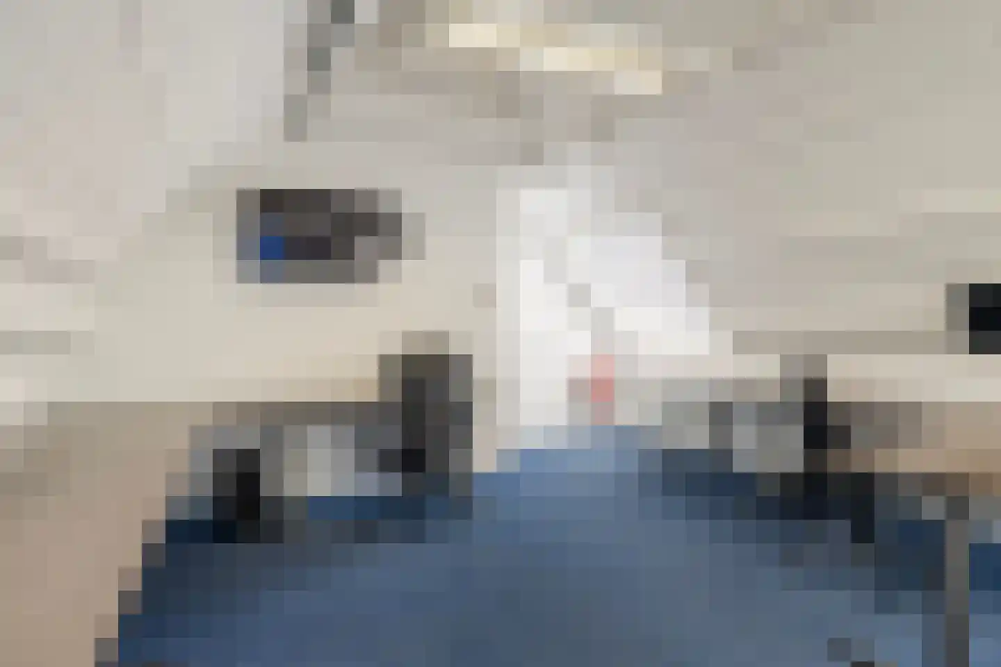 Buorren 5 Lekkum thumbnail 61