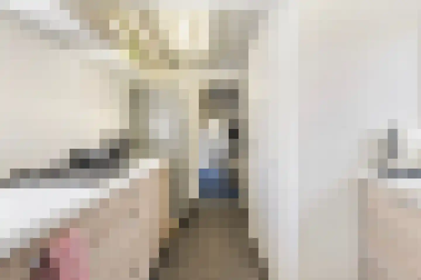 Buorren 5 Lekkum thumbnail 64