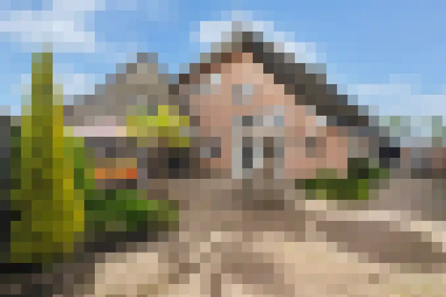Buorren 5 Lekkum thumbnail 73