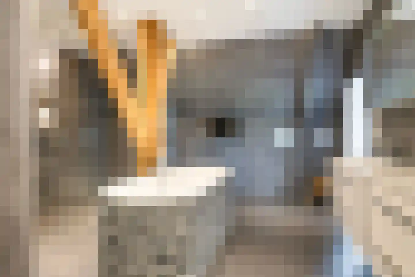 Buorren 5 Lekkum thumbnail 87