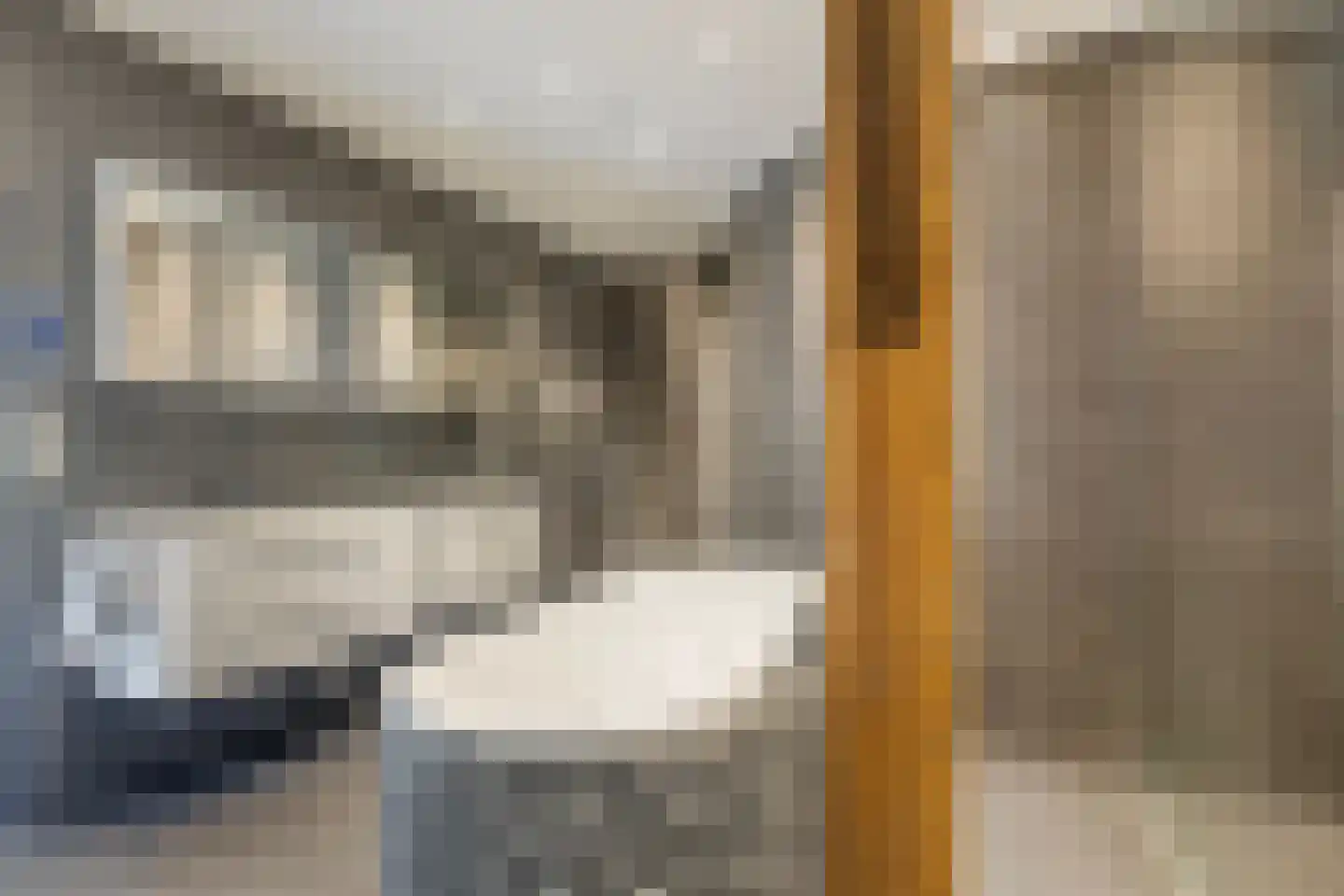 Buorren 5 Lekkum thumbnail 88