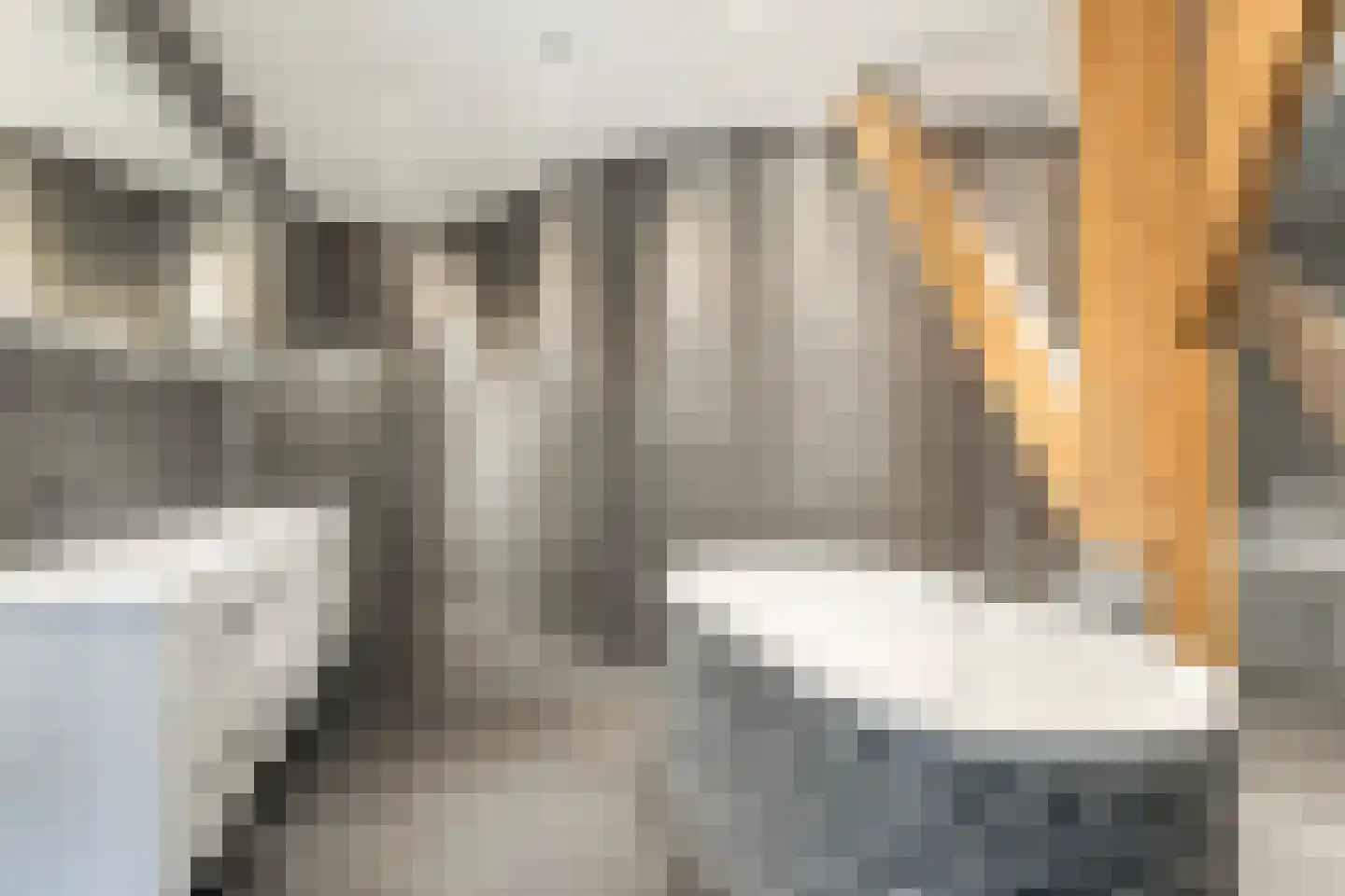 Buorren 5 Lekkum thumbnail 89