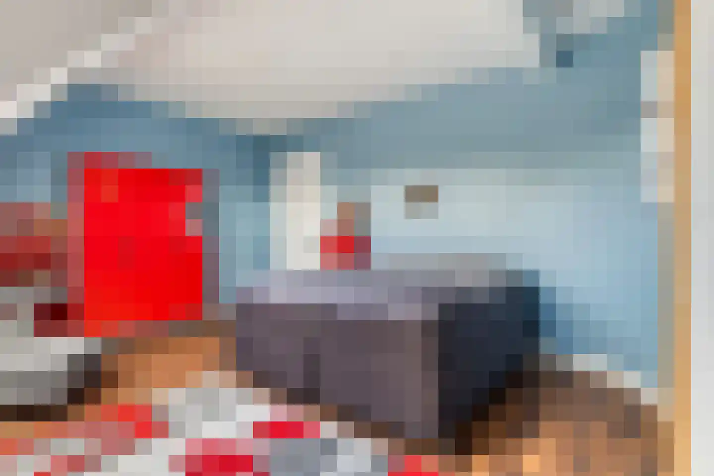 Buorren 5 Lekkum thumbnail 92