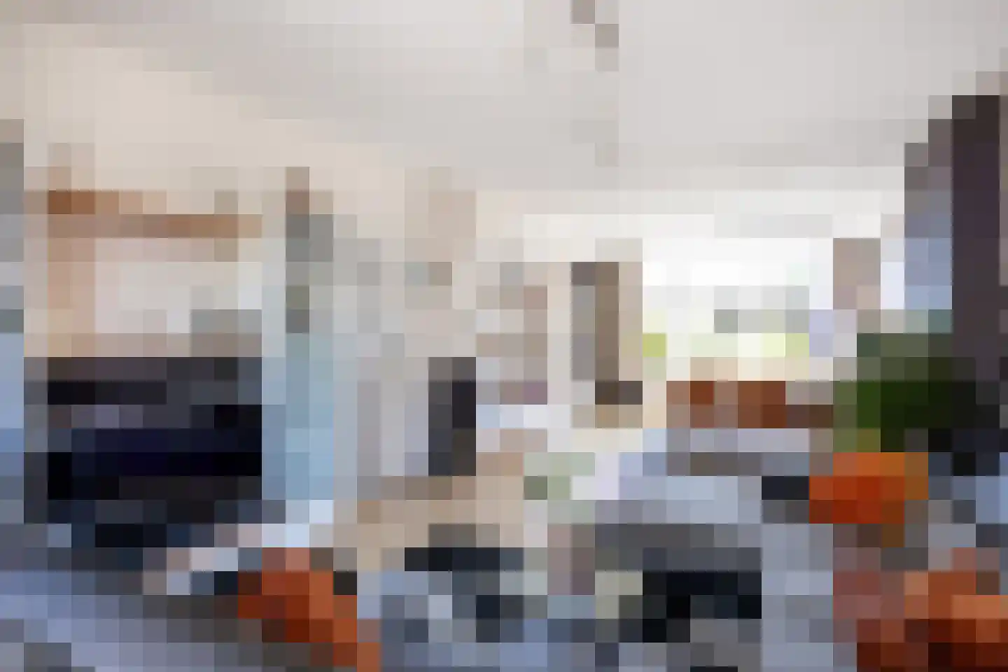 Buorren 50 Berltsum thumbnail 20