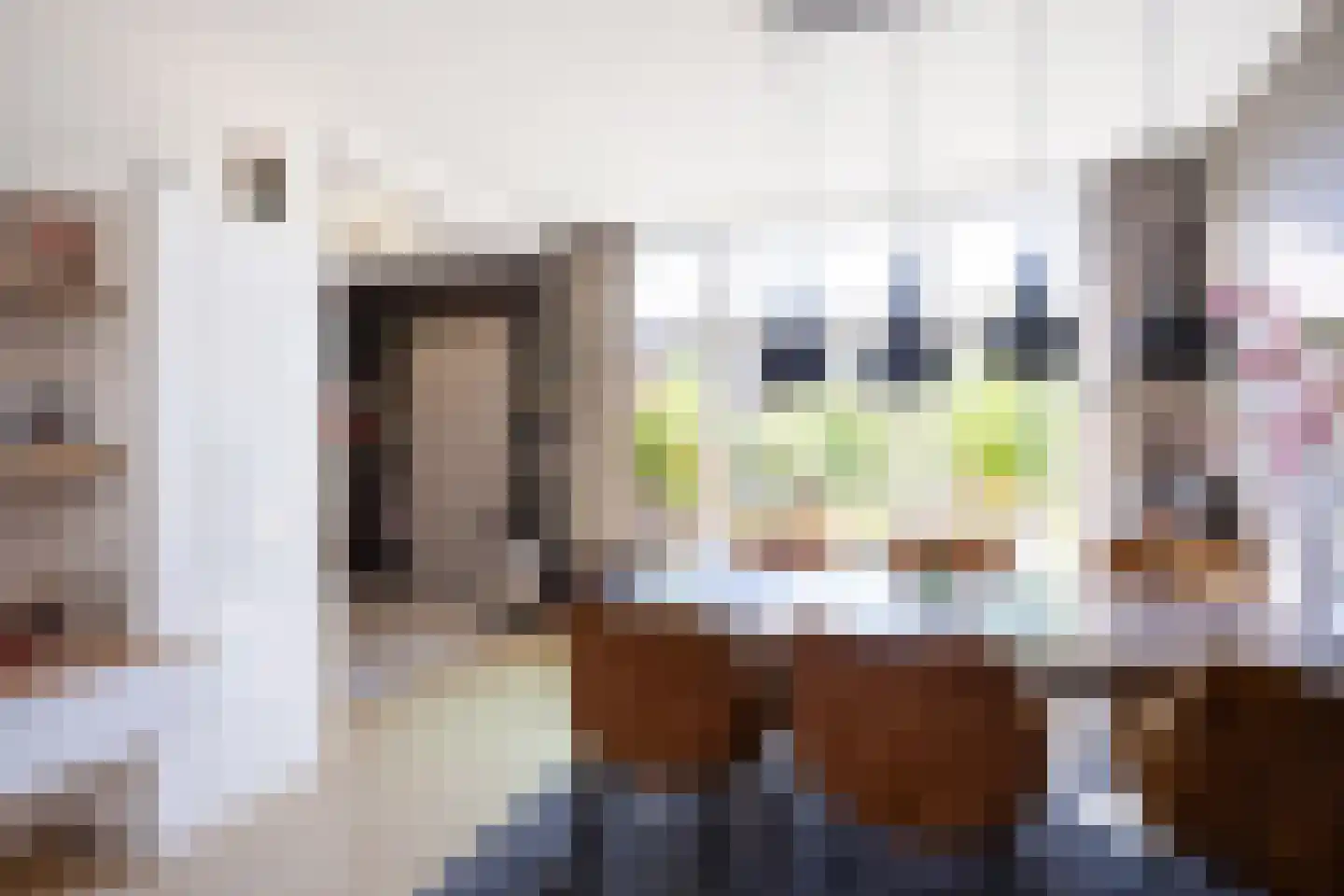 Buorren 50 Berltsum thumbnail 24