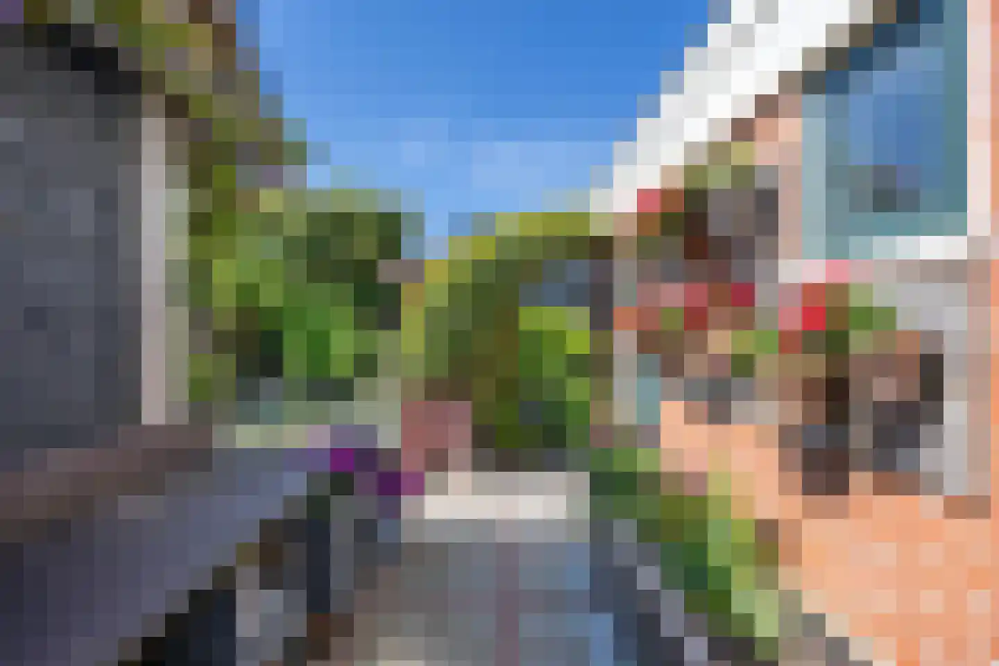 Buorren 50 Berltsum thumbnail 37
