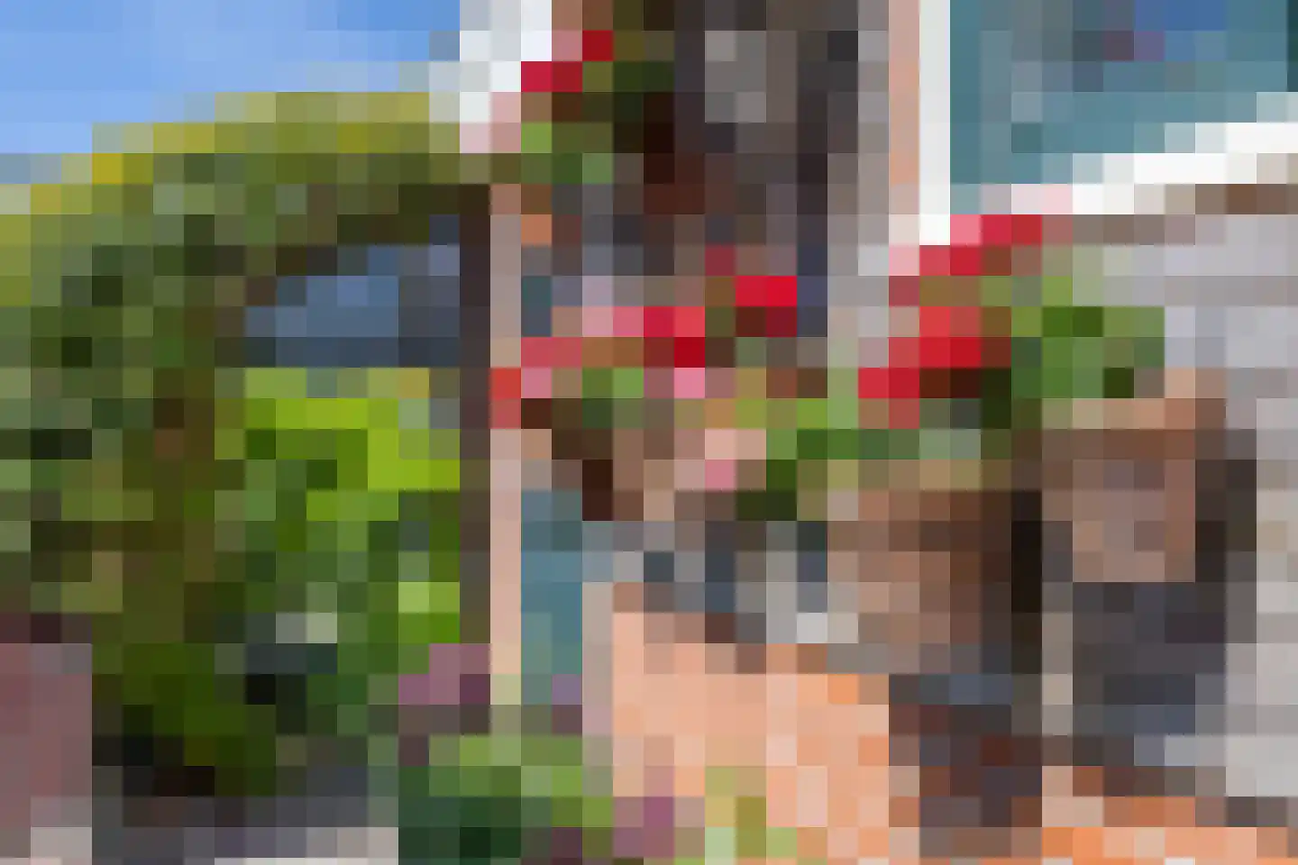 Buorren 50 Berltsum thumbnail 38