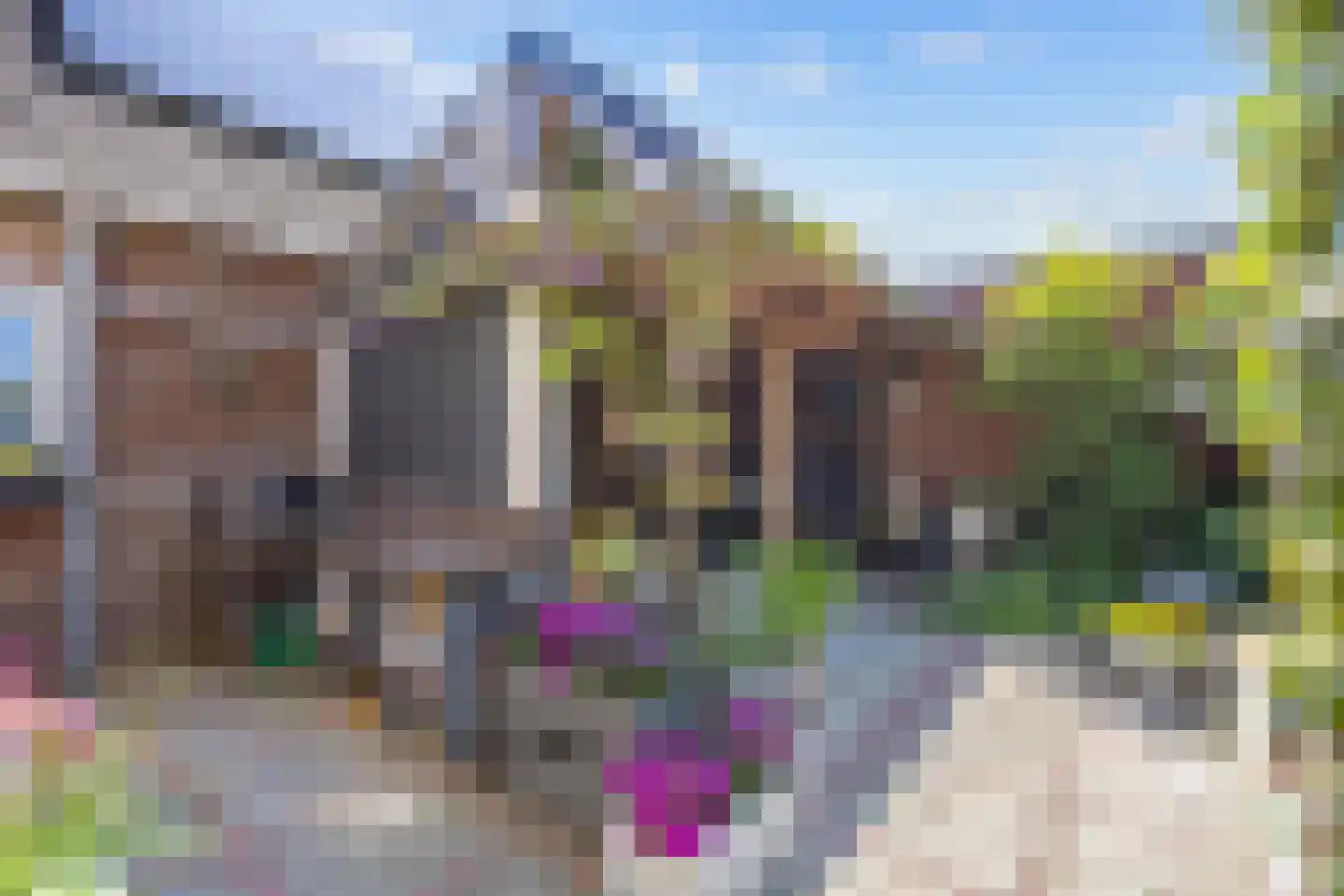 Buorren 50 Berltsum thumbnail 39