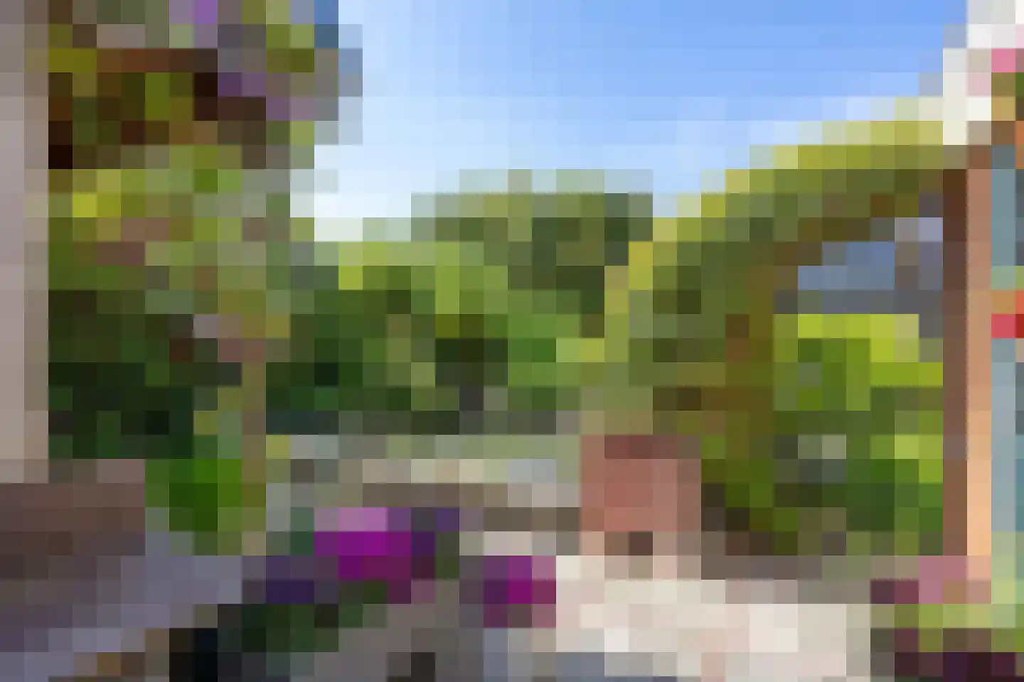 Buorren 50 Berltsum thumbnail 40