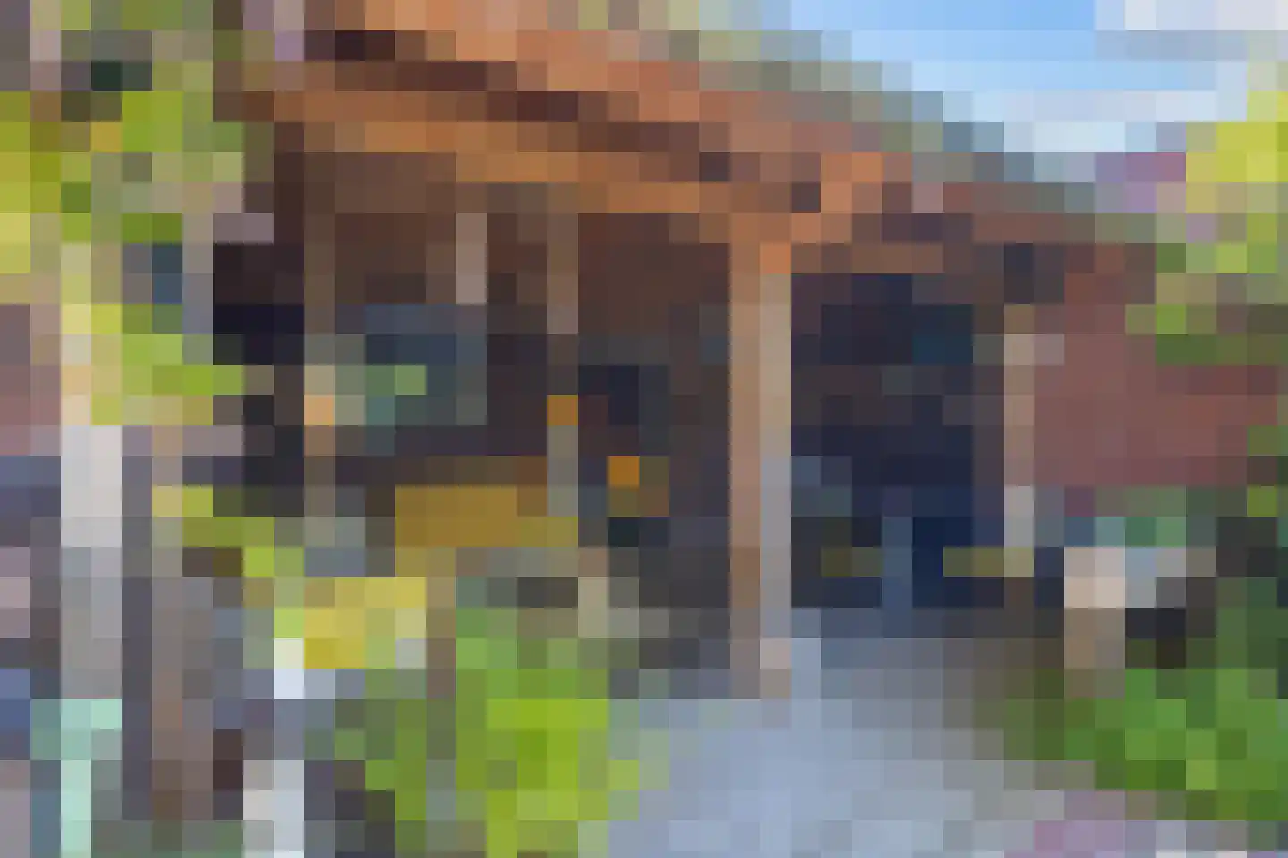 Buorren 50 Berltsum thumbnail 41