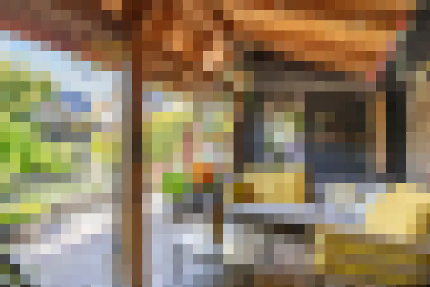 Buorren 50 Berltsum thumbnail 42