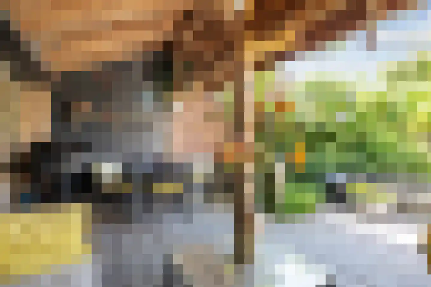 Buorren 50 Berltsum thumbnail 43