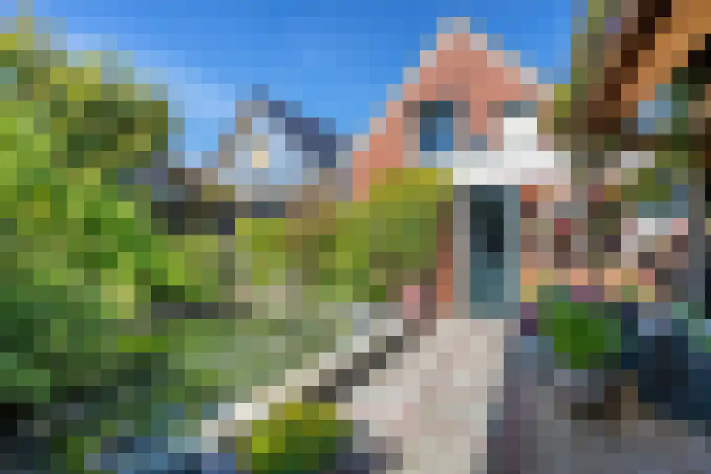 Buorren 50 Berltsum thumbnail 44