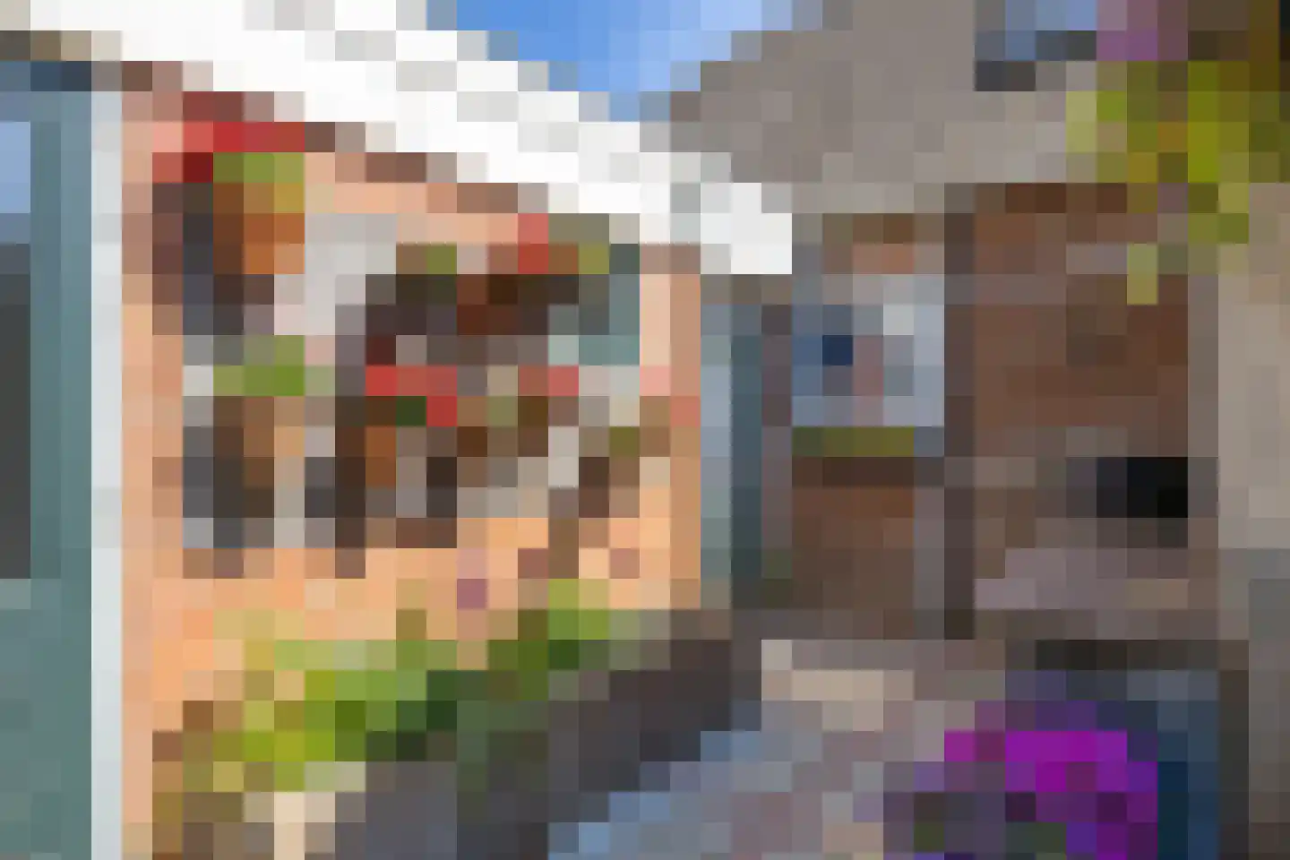 Buorren 50 Berltsum thumbnail 45