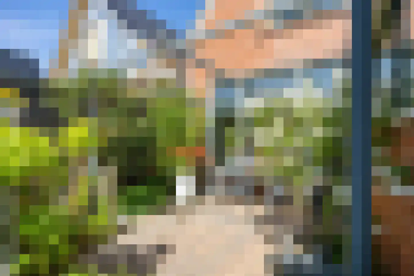 Buorren 50 Berltsum thumbnail 46