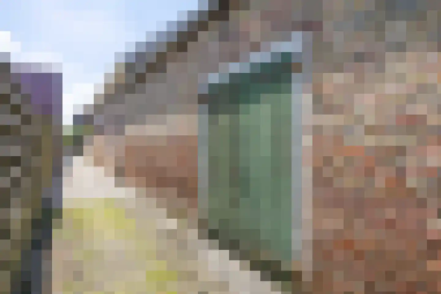 Buorren 50 Berltsum thumbnail 47