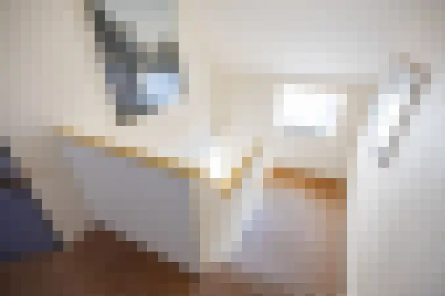 Buorren 50 Berltsum thumbnail 50