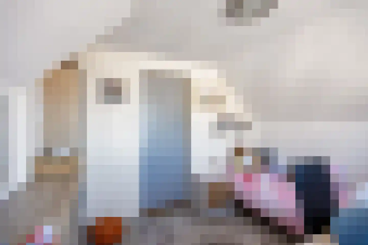 Buorren 50 Berltsum thumbnail 54