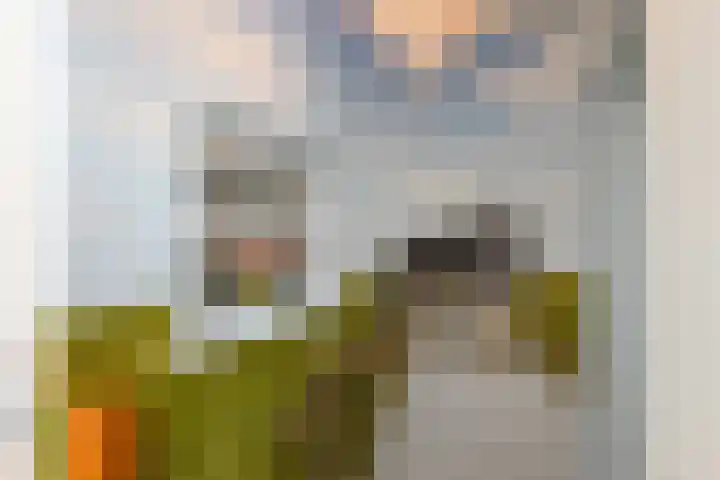Buorren 50 Terkaple thumbnail 18