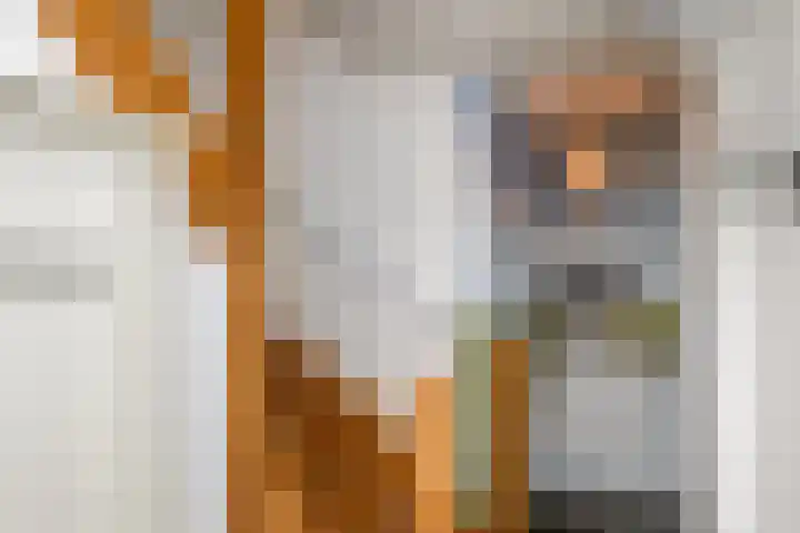 Buorren 50 Terkaple thumbnail 19
