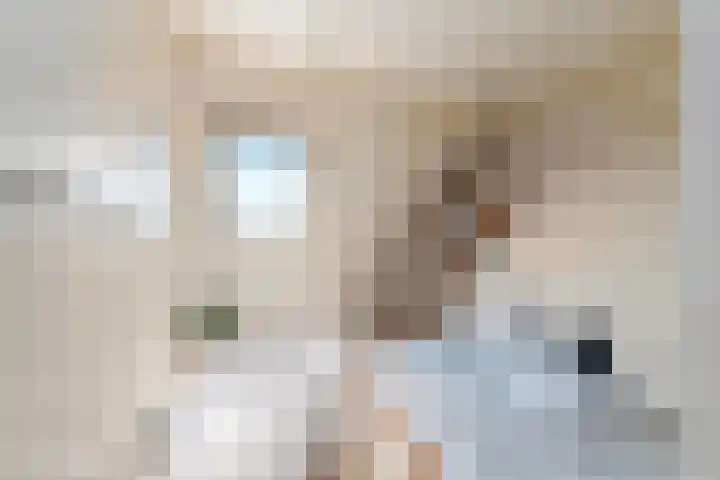 Buorren 50 Terkaple thumbnail 25