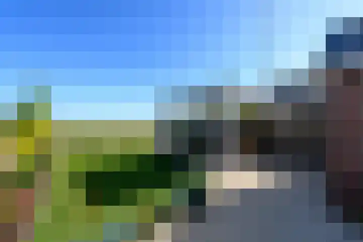 Buorren 50 Terkaple thumbnail 45