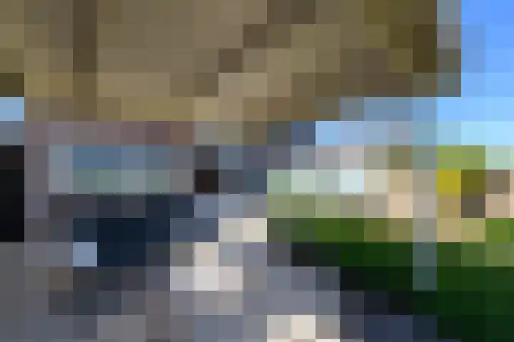 Buorren 50 Terkaple thumbnail 47