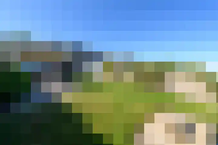Buorren 50 Terkaple thumbnail 49