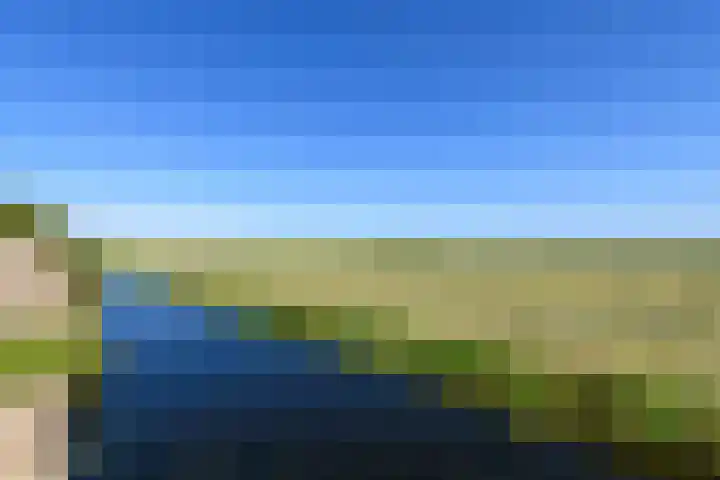 Buorren 50 Terkaple thumbnail 52