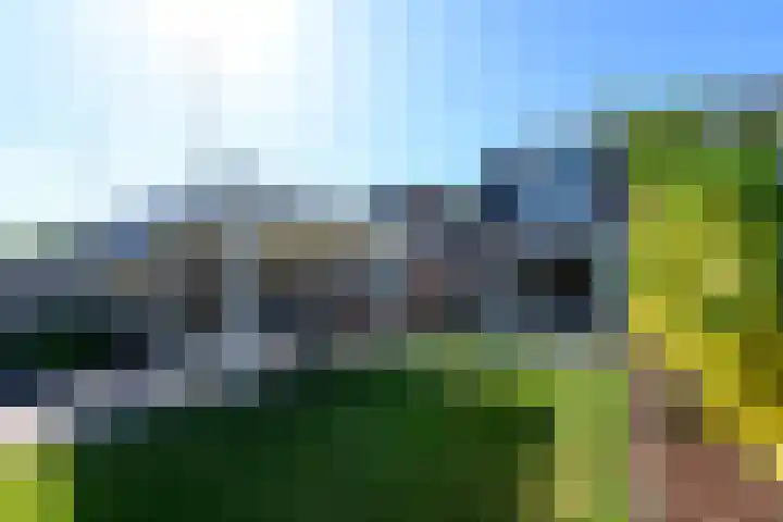 Buorren 50 Terkaple thumbnail 54