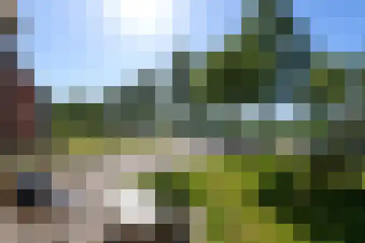 Buorren 50 Terkaple thumbnail 55