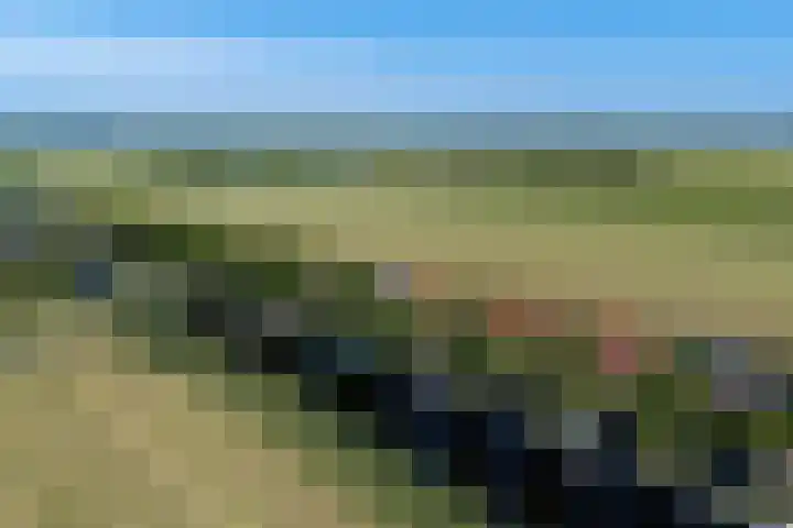Buorren 50 Terkaple thumbnail 56