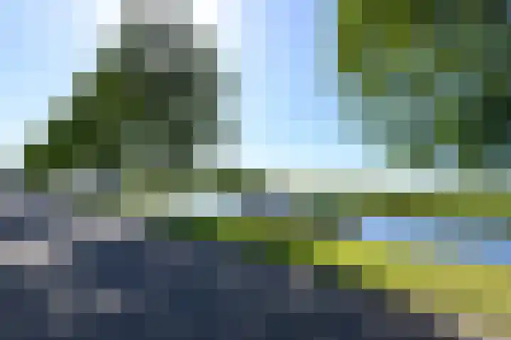 Buorren 50 Terkaple thumbnail 59
