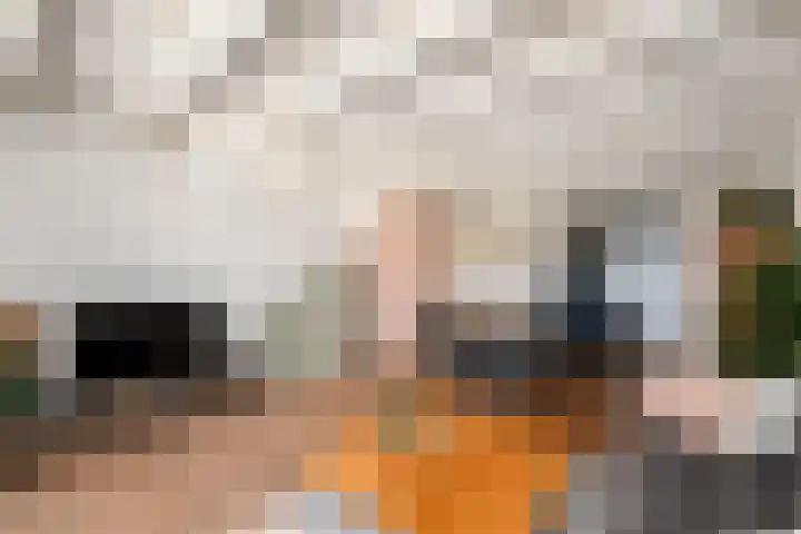 Buorren 50 Terkaple thumbnail 6