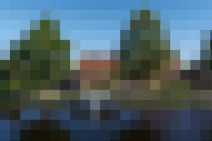 Buorren 50 Terkaple thumbnail 62