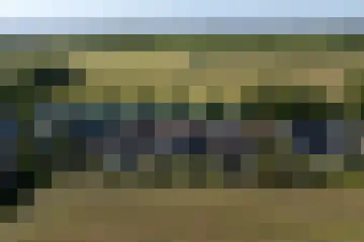 Buorren 50 Terkaple thumbnail 65