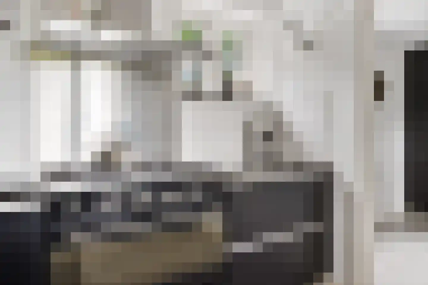 Buorren 50 Tytsjerk thumbnail 10