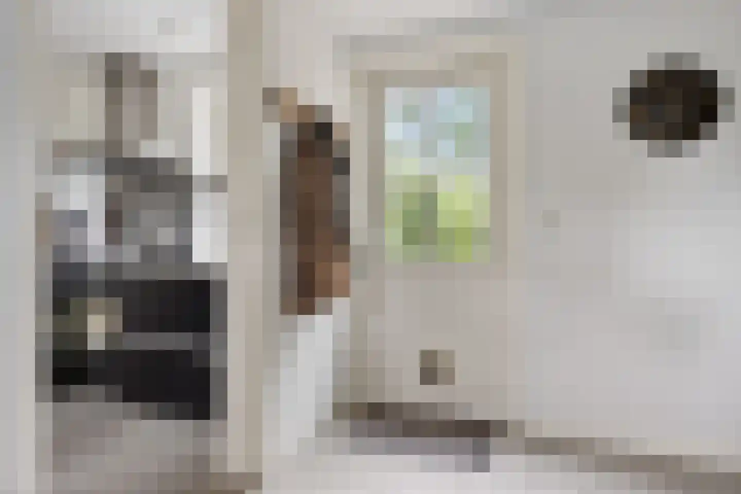 Buorren 50 Tytsjerk thumbnail 12