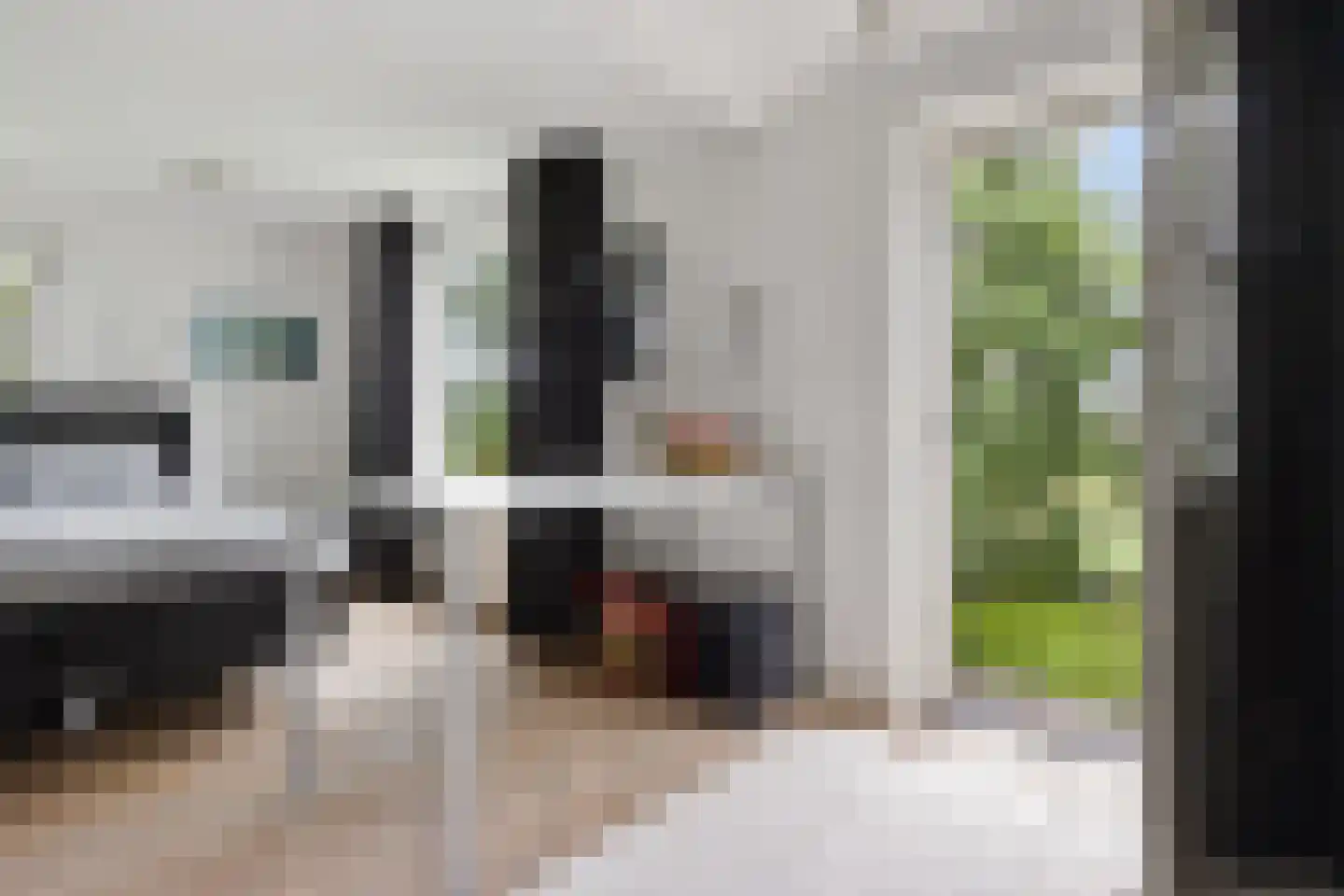 Buorren 50 Tytsjerk thumbnail 19