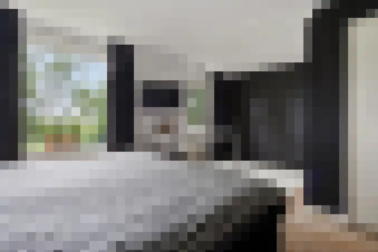 Buorren 50 Tytsjerk thumbnail 21