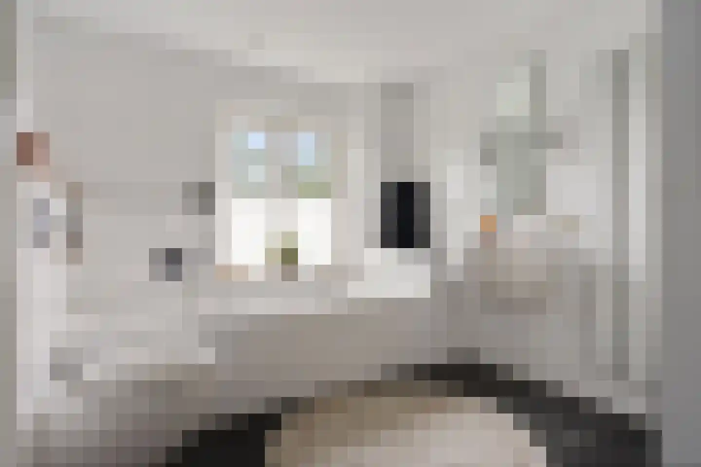 Buorren 50 Tytsjerk thumbnail 23